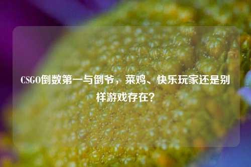 CSGO倒数之一与倒爷,菜鸡、快乐玩家还是别样游戏存在?