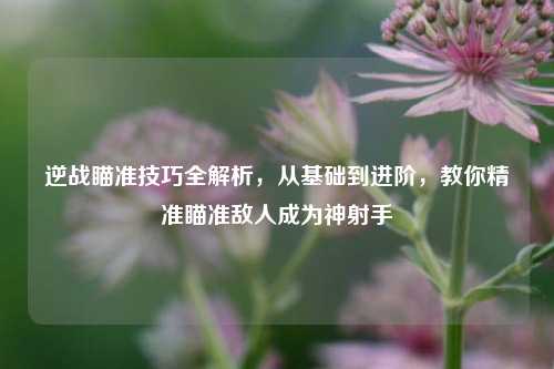 逆战瞄准技巧全解析,从基础到进阶,教你精准瞄准敌人成为神射手
