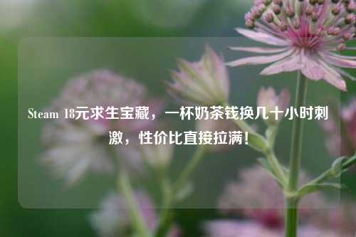Steam 18元求生宝藏,一杯奶茶钱换几十小时 *** ,性价比直接拉满!