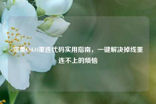 完美CSGO重连代码实用指南,一键解决掉线重连不上的烦恼