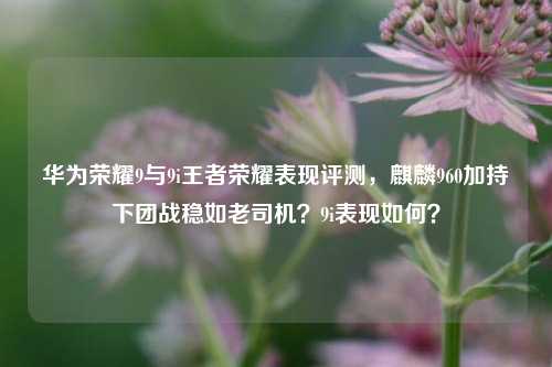 华为荣耀9与9i王者荣耀表现评测,麒麟960加持下团战稳如老司机?9i表现如何?