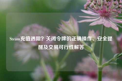 Steam充值遇阻?关闭令牌的正确操作、安全提醒及交易可行性解答