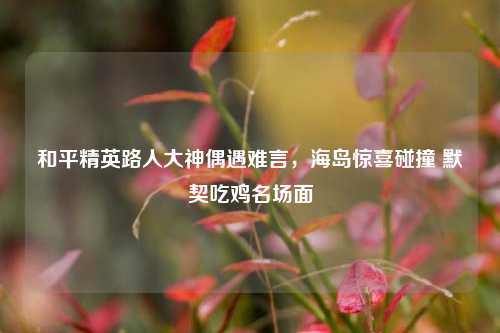 和平精英路人大神偶遇难言，海岛惊喜碰撞 默契吃鸡名场面