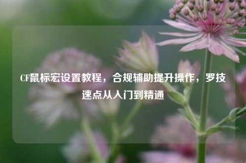 CF鼠标宏设置教程,合规辅助提升操作,罗技速点从入门到精通