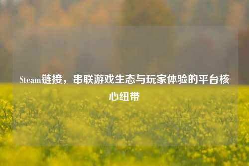 Steam链接,串联游戏生态与玩家体验的平台核心纽带