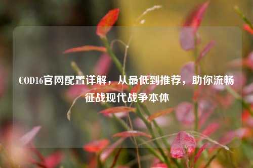 COD16官网配置详解，从更低到推荐，助你流畅征战现代战争本体