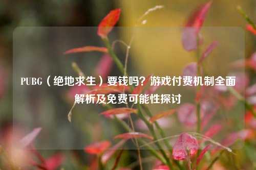 PUBG(绝地求生)要钱吗?游戏付费机制全面解析及免费可能性探讨