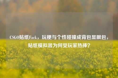 CSGO贴纸Fack,玩梗与个性碰撞成背包显眼包,贴纸模拟器为何受玩家热捧?