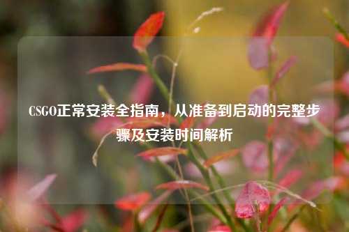 CSGO正常安装全指南,从准备到启动的完整步骤及安装时间解析