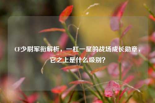 CF少尉军衔解析,一杠一星的战场成长勋章,它之上是什么级别?