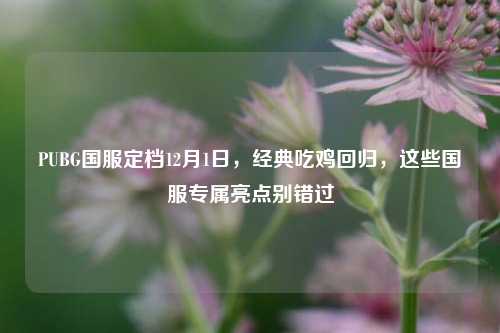 PUBG国服定档12月1日,经典吃鸡回归,这些国服专属亮点别错过