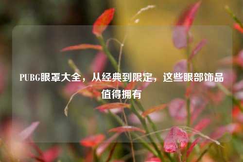 PUBG眼罩大全，从经典到限定，这些眼部饰品值得拥有