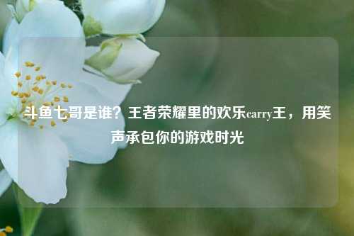 斗鱼七哥是谁？王者荣耀里的欢乐carry王，用笑声承包你的游戏时光