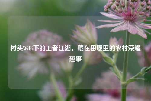 村头WiFi下的王者江湖,藏在田埂里的农村荣耀趣事