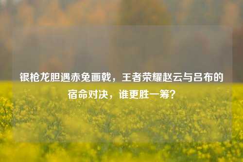 银枪龙胆遇赤兔画戟,王者荣耀赵云与吕布的宿命对决,谁更胜一筹?