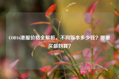 COD16港服价格全解析,不同版本多少钱?哪里买最划算?