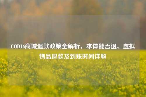 COD16商城退款政策全解析,本体能否退、虚拟物品退款及到账时间详解