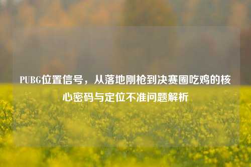 PUBG位置信号,从落地刚枪到决赛圈吃鸡的核心密码与定位不准问题解析