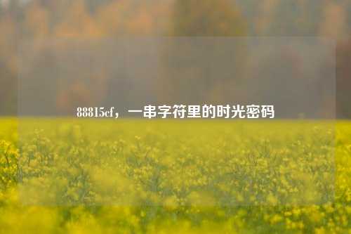 88815cf,一串字符里的时光密码