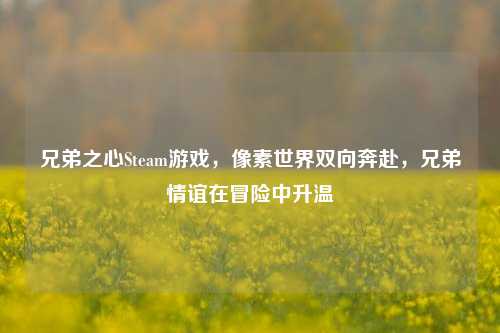 兄弟之心Steam游戏,像素世界双向奔赴,兄弟情谊在冒险中升温