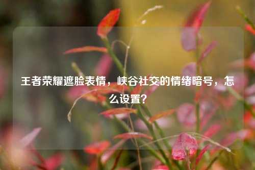 王者荣耀遮脸表情,峡谷社交的情绪暗号,怎么设置?