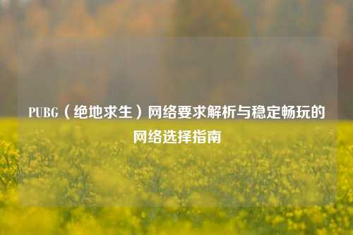 PUBG（绝地求生） *** 要求解析与稳定畅玩的 *** 选择指南