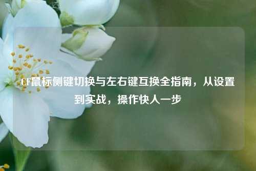 CF鼠标侧键切换与左右键互换全指南,从设置到实战,操作快人一步