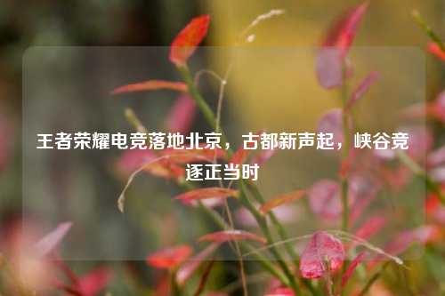 王者荣耀电竞落地北京,古都新声起,峡谷竞逐正当时