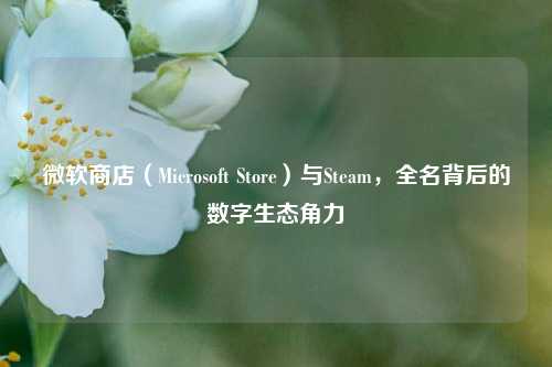 微软商店(Microsoft Store)与Steam,全名背后的数字生态角力