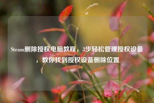 Steam删除授权电脑教程,3步轻松管理授权设备,教你找到授权设备删除位置