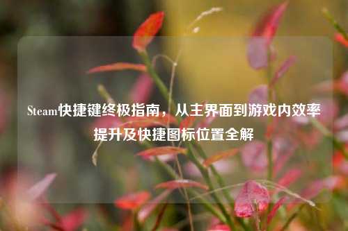 Steam快捷键终极指南,从主界面到游戏内效率提升及快捷图标位置全解