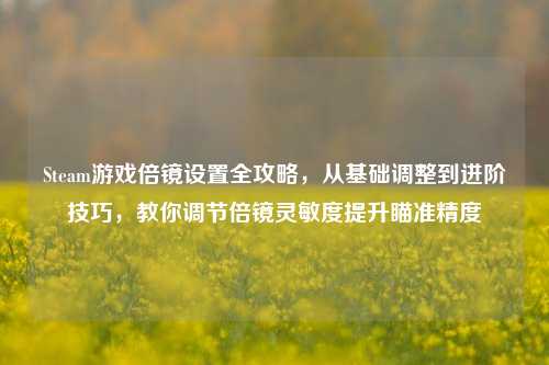 Steam游戏倍镜设置全攻略,从基础调整到进阶技巧,教你调节倍镜灵敏度提升瞄准精度