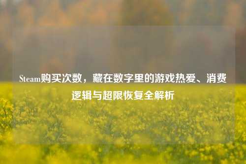 Steam购买次数,藏在数字里的游戏热爱、消费逻辑与超限恢复全解析