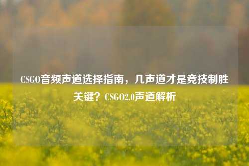 CSGO音频声道选择指南，几声道才是竞技制胜关键？CSGO2.0声道解析