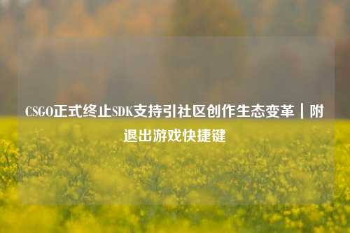 CSGO正式终止SDK支持引社区创作生态变革|附退出游戏快捷键