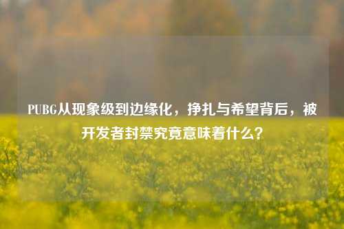 PUBG从现象级到边缘化,挣扎与希望背后,被开发者封禁究竟意味着什么?
