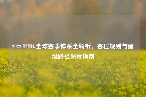 2022 PUBG全球赛事体系全解析,赛程规则与晋级路径深度指南