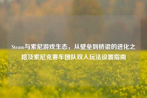 Steam与索尼游戏生态,从壁垒到桥梁的进化之路及索尼克赛车团队双人玩法设置指南