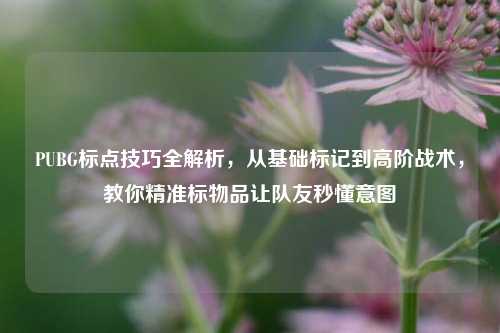 PUBG标点技巧全解析,从基础标记到高阶战术,教你精准标物品让队友秒懂意图