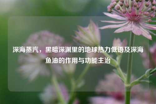 深海蒸汽,黑暗深渊里的地球热力低语及深海鱼油的作用与功能主治