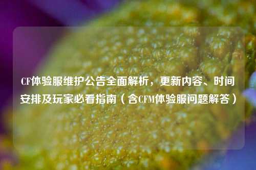 CF体验服维护公告全面解析,更新内容、时间安排及玩家必看指南(含CFM体验服问题解答)