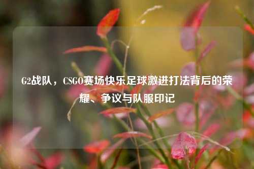 G2战队,CSGO赛场快乐足球激进打法背后的荣耀、争议与队服印记
