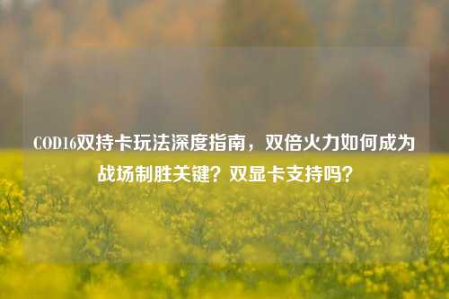 COD16双持卡玩法深度指南,双倍火力如何成为战场制胜关键?双显卡支持吗?