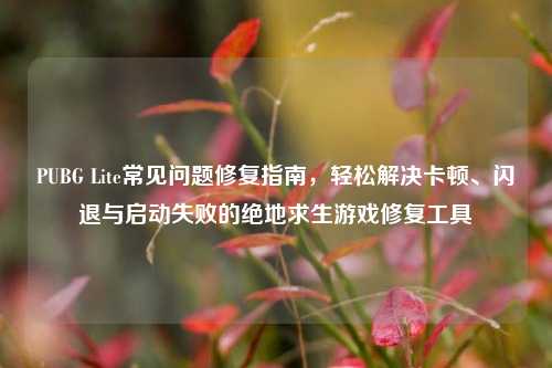 PUBG Lite常见问题修复指南,轻松解决卡顿、闪退与启动失败的绝地求生游戏修复工具