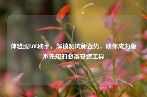 体验服LOL助手,解锁测试新姿势,助你成为版本先知的必备安装工具