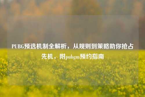 PUBG预选机制全解析,从规则到策略助你抢占先机,附pubgm预约指南