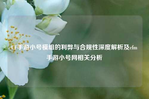 CF手游小号模组的利弊与合规性深度解析及cfm手游小号网相关分析