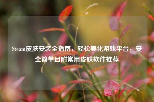 Steam皮肤安装全指南,轻松美化游戏平台,安全简单且附常用皮肤软件推荐