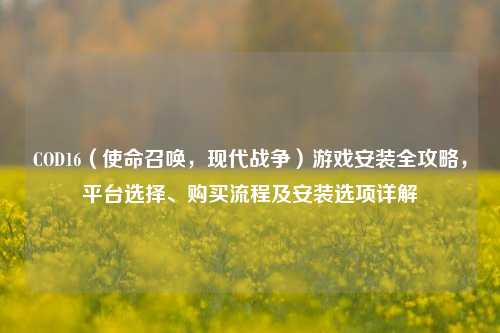 COD16(使命召唤,现代战争)游戏安装全攻略,平台选择、购买流程及安装选项详解
