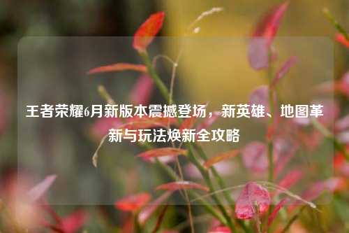 王者荣耀6月新版本震撼登场，新英雄、地图革新与玩法焕新全攻略